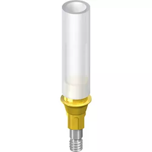 NC Gold Abutment, crown