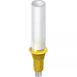 RC Gold Abutment, crown