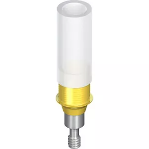 RC Gold Abutment, bridge
