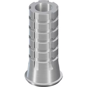 cop. SR Abut,bridge,D4.6,Ti