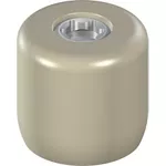 Protect. cap SR Abut., D4.6, H5.1m
