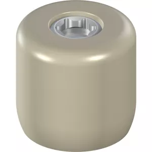 Protect. cap SR Abut., D4.6, H5.1m