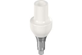 RC Temporary Abutment