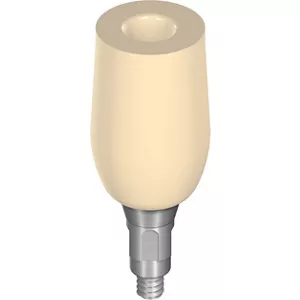 RC Temporary abutment CAD-Temp®