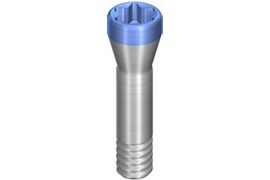 SC Basal Screw B