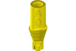 Anatomic Plan Abutments