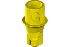 Gold Plan Abutment