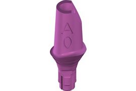 RC PLAN Anatomic Abutment - straight, GH 2mm, POM