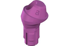 RC Plan screw-retained abutment, POM - angled 17°, D 4.6mm, GH 2.5mm, Type A