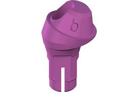 RC Plan screw-retained abutment, POM - angled 17°, D 4.6mm, GH 2.5mm, Type B