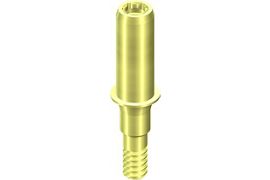 BL Guiding Cylinder