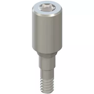 SC ｶﾞｲﾃﾞｨﾝｸﾞｼﾘﾝﾀﾞｰφ2.9mm BLTｲﾝﾌﾟﾗﾝﾄ用