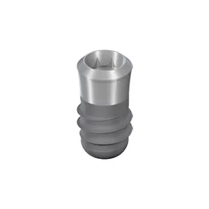 S Ø 4.8mm RN, SLActive® 6mm, TiZr, NTP