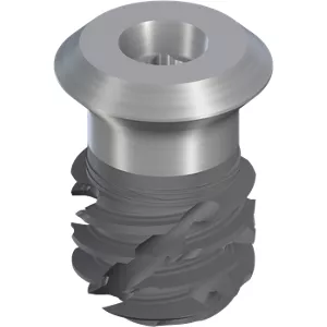 TLX S Ø5.5 WT, SLActive® 6mm, RXD