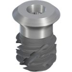 TLX S Ø5.5 WT, SLActive® 6mm, RXD