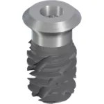 TLX S Ø5.5 WT, SLActive® 8mm, RXD
