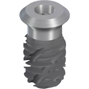 TLX S Ø5.5 WT, SLActive® 8mm, RXD