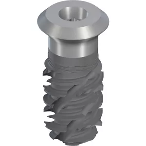 TLX S Ø5.5 WT, SLActive® 10mm, RXD