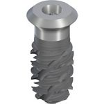 TLX S Ø5.5 WT, SLActive® 10mm, RXD