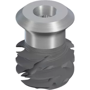 TLX S Ø6.5 WT, SLActive® 6mm, RXD