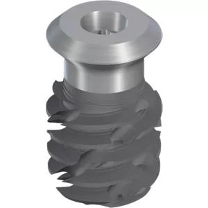 TLX S Ø6.5 WT, SLActive® 8mm, RXD