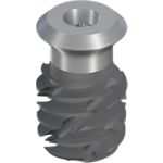 TLX S Ø6.5 WT, SLActive® 8mm, RXD