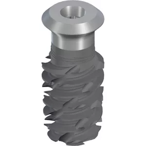 TLX S Ø6.5 WT, SLActive® 12mm, RXD