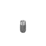 TLX SP Ø3.75 NT, SLActive® 6mm, RXD