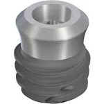 TLX SP Ø5.0 RT, SLActive® 4mm, RXD