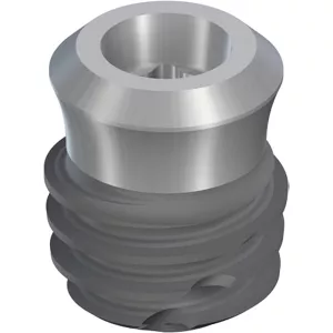 TLX SP Ø5.0 RT, SLActive® 4mm, RXD