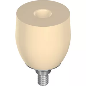 WN Temporary abutment CAD-Temp®