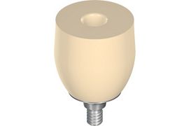 WN Temporary Abutment CAD-Temp®