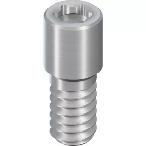 Guide screw f. bar cop., ns, l 6.0mm