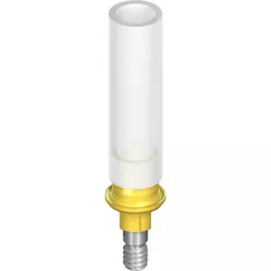 NNC Gold abutment, for crown