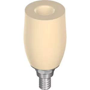 RN Temporary abutment CAD-Temp®