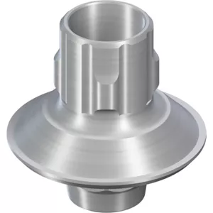 WN Variobase Abutment, with screw