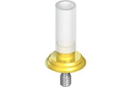 WN Gold Abutment