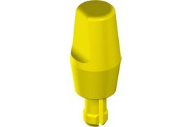 Solid Plan Abutment