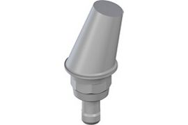 WN synOcta® angled PLAN Abutment - Type A, angled 15°, POM