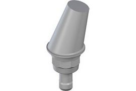 WN synOcta® angled PLAN Abutment - Type B, angled 15°, POM