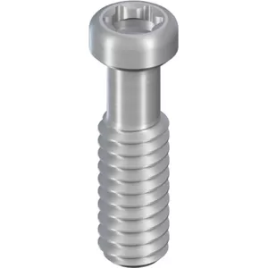SCS occlusal screw, long, length 7.6 mm