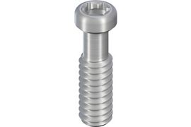 RN/WN Occlusal Screw