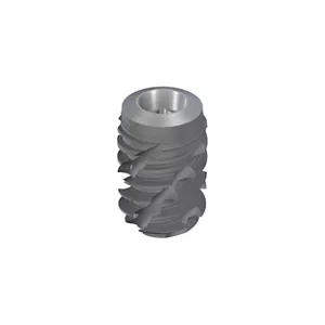BLX φ 5.0mm WB SLActive 8mm Roxolid
