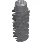 BLX Ø6.5 WB, SLActive® 16mm, RXD