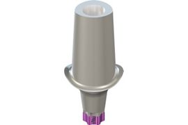 RB/WB Anatomic Abutment