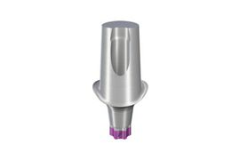 RB/WB Anatomic Abutment