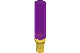 RB/WB Gold Abutment