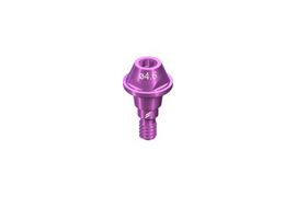 RB/WB Screw-ret. Abut.