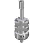 WT Imp.PostOT,L,screw,H21,non-engag.,TAN