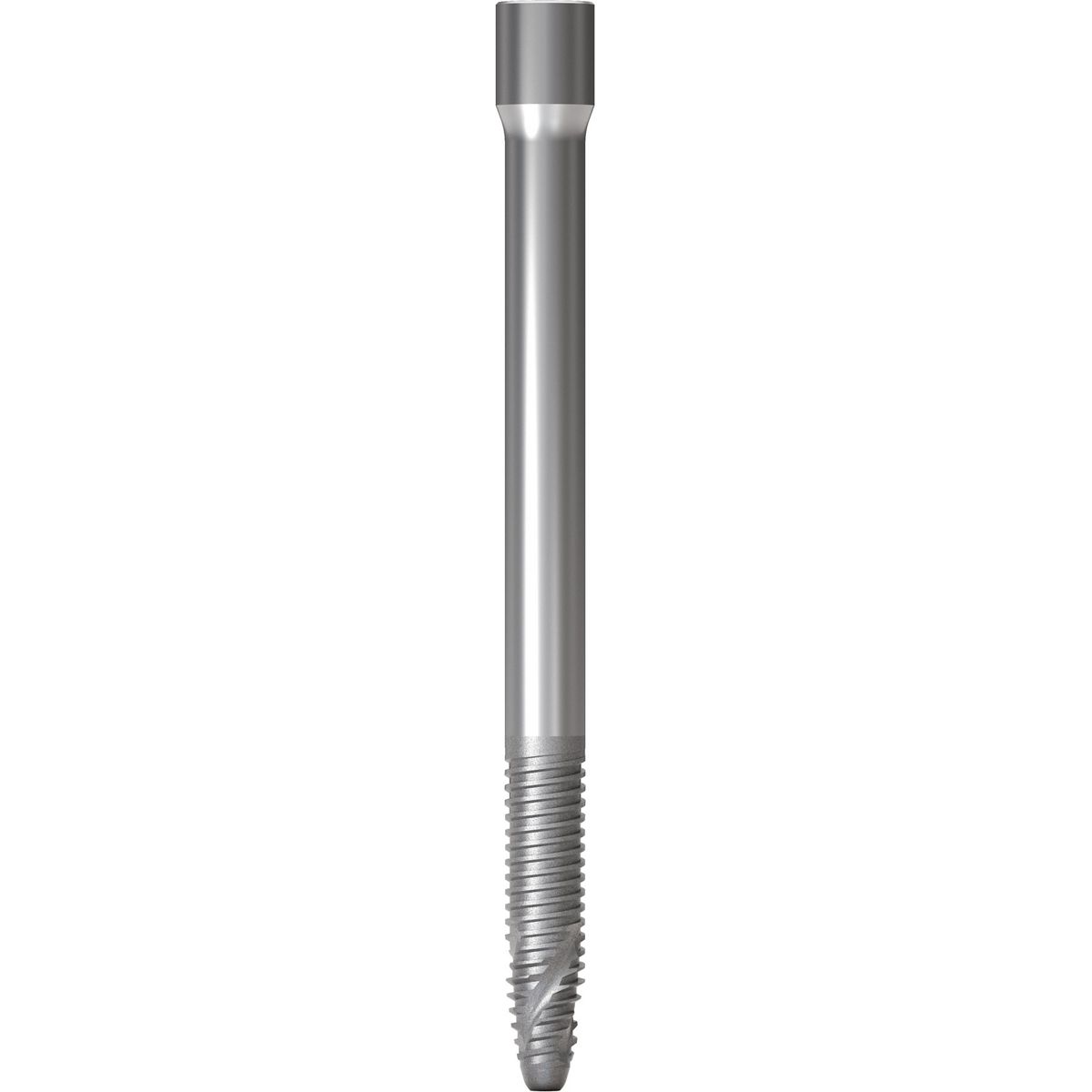 GM ZYGOMA S IMPLANT TITANIUM 3 5X47 5 Mm Straumann Group Neodent gm-zygoma-s-implant-titanium-3-5x47-5-mm-straumann-group-neodent
